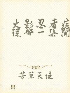 火影忍者疾风传从哪一集开始