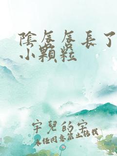 阴唇唇长了很多小颗粒