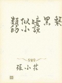 类似暗黑系暖婚的小说