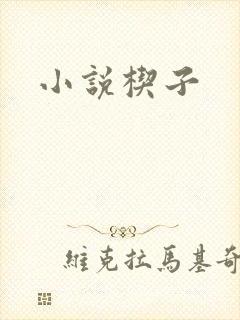 小说楔子