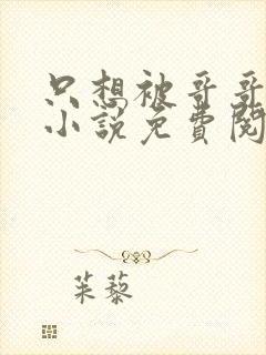 只想被哥哥惩罚小说免费阅读完整版