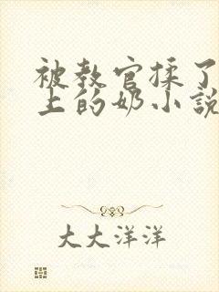 被教官揉了一晚上的奶小说