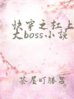 快穿之杠上反派大boss小说