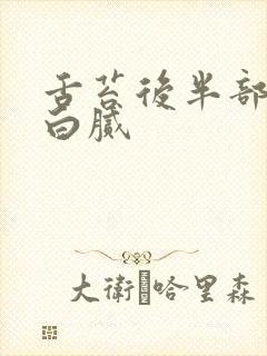 舌苔后半部分厚白腻