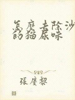 怎么去除沙发上的猫尿味