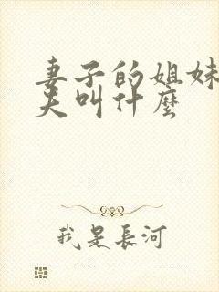 妻子的姐妹的丈夫叫什么