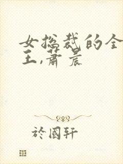 女总裁的全能兵王,萧晨