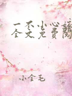 一不小心嫁总裁全文免费阅读