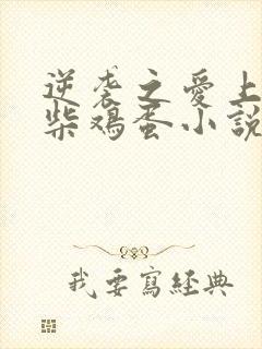 逆袭之爱上情敌柴鸡蛋小说完全版