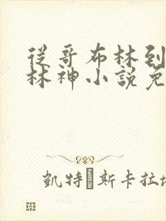 从哥布林到哥布林神小说免费阅读