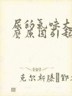 尿的气味大是什么原因引起的