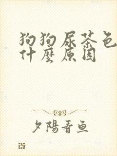 狗狗尿茶色尿是什么原因