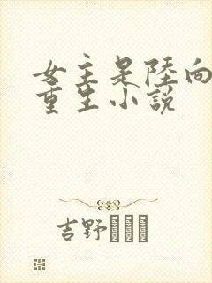 女主是陆向晚的重生小说