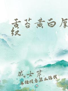 舌苔黄白厚有裂纹