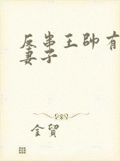 反串王帅有几任妻子