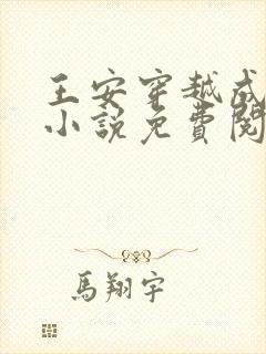 王安穿越成太子小说免费阅读