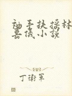 袖手扶摇林凡陈嘉仪小说