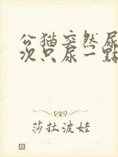 公猫突然尿频每次只尿一点