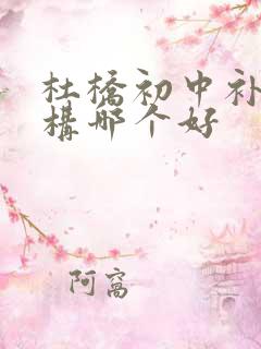 杜桥初中补课机构哪个好