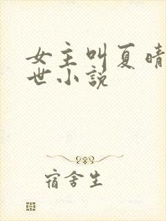 女主叫夏晴的末世小说