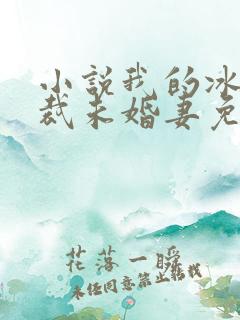 小说我的冰山总裁未婚妻免费阅读