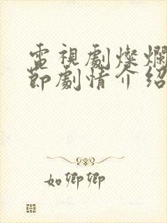 电视剧灿烂的季节剧情介绍