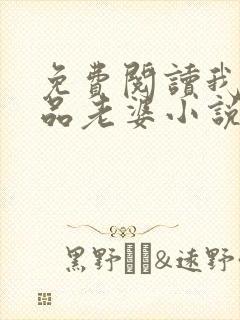 免费阅读我的极品老婆小说