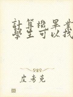 计算机毕业的大学生可以找什么工作