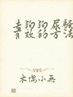 去狗狗尿骚味最有效的方法