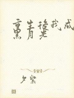 重生后我成奸臣黑月光