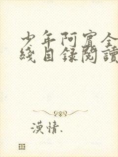 少年阿宾全集在线目录阅读全文原文