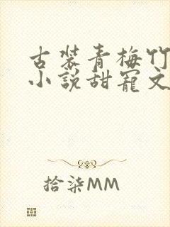 古装青梅竹马的小说甜宠文