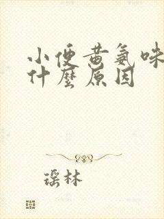 小便黄氨味大是什么原因