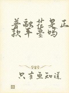 普融花是正规贷款平台吗