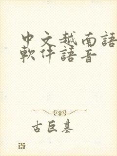 中文越南语翻译软件语音