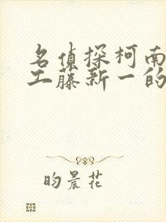 名侦探柯南之给工藤新一的挑战书