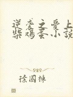 逆袭之爱上情敌柴鸡蛋小说未删减版