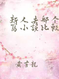 新人去哪个网站写小说比较好