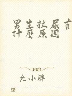 男生拉尿有血是什么原因