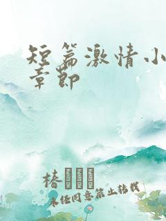 短篇激情小说全章节