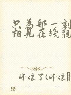 只为那一刻与你相见在线观看