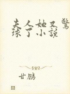 夫人她又惊艳全球了小说