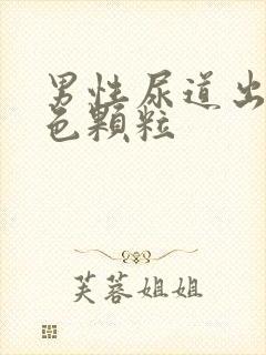 男性尿道出现白色颗粒