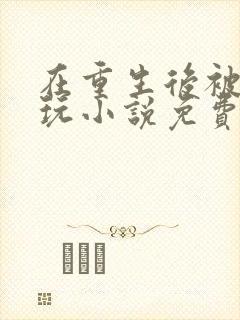 在重生后被女主玩小说免费阅读