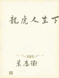 龙虎人生下载