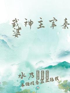 武神主宰秦尘老婆
