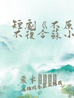 短剧《不原谅,不复合苏小姐独美》