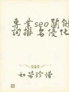 专业seo关键词排名优化