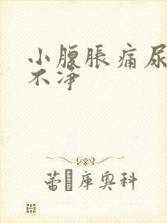 小腹胀痛尿频尿不净