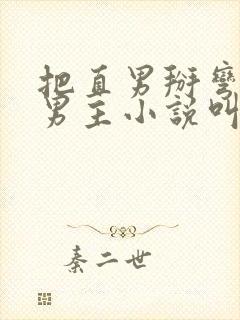 把直男掰弯的双男主小说叫什么